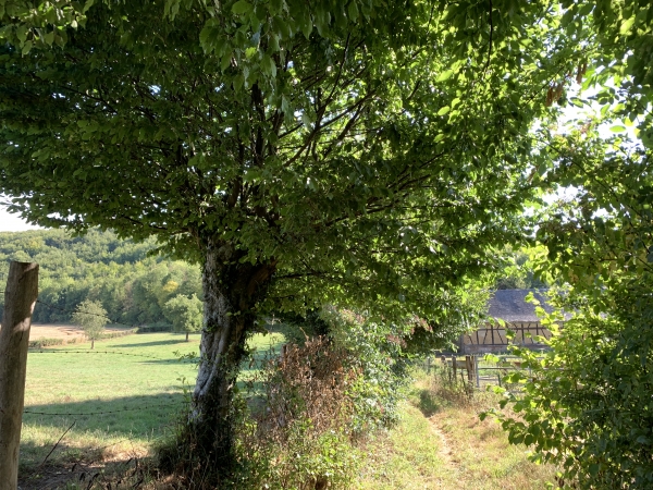 Nous sommes dans le vallon, à proximité des bâtiments de l'ancienne ferme.