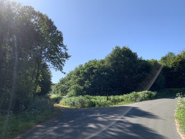 Nous suivons quelque temps la route forestière du Val de Lys.
