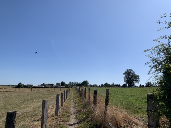 Un sentier au milieu des champs relie Richebourg au centre de La Feuillie.