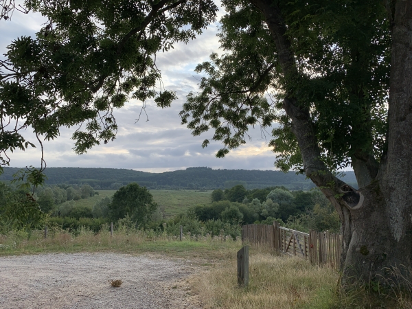 Nous allons descendre dans les marais de la Risle, en suivant le sentier de l'Espace Naturel Sensible des Marais de la Risle Maritime.