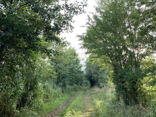 Les premiers chemins des marais sont assez larges pour laisser passer les tracteurs. Ce ne sera pas le cas en bord de Risle.