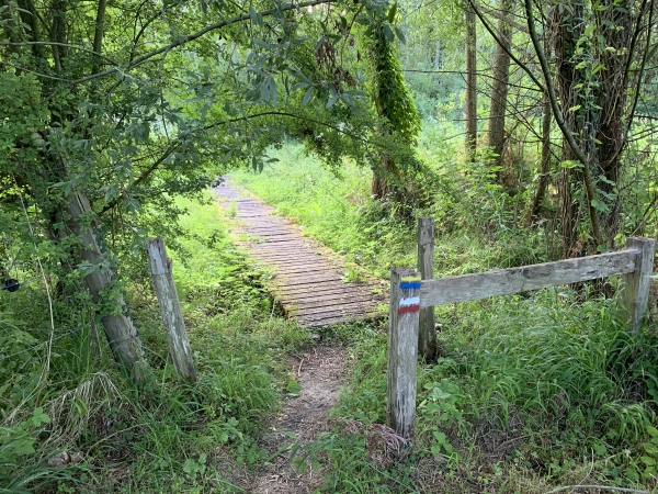 Plus nous avançons dans les marais, plus les chemins sont étroits, mais ils restent bien aménagés pour les marcheurs.
