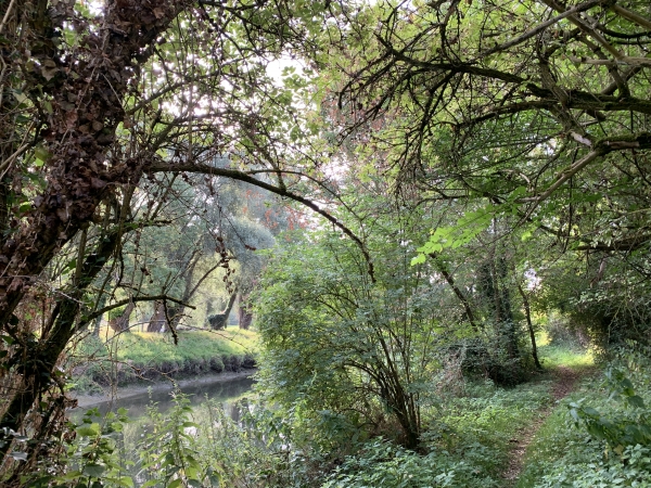 Les paysages de bord de Risle sont fascinants.