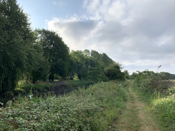 Dès que nous arrivons sur le territoire de la commune de Toutainville, le chemin du bord de la Risle devient large et tondu !