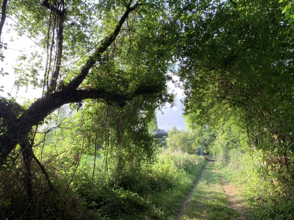 Nous allons passer sous l'A13, ce qui veut dire que nous approchons des étangs de Toutainville et Pont-Audemer.