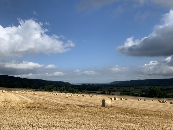 Regard arrière vers l'aval de la vallée de la Risle. Dommage qu'un nuage assombrisse la plus belle partie de la vallée. Pour ceux qui ont de bons yeux, ou qui consultent l'album, on voit la chapelle du domaine d'Aubigny à mi-pente.