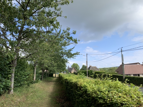 Nous voilà revenus à St-Sulpice-de-Grimbouville, par le chemin aménagé le long de la route de l'Estuaire. D'autres photos sont sur l'album de la randonnée.
