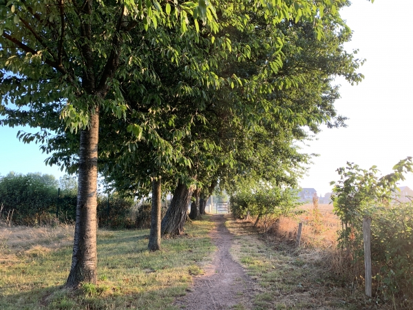 Nous partons du parking du stade de Roncherolles-sur-le-Vivier, et suivons le chemin des Pépinières qui le longe.