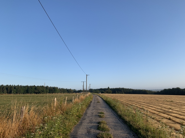 Nous suivons le chemin de la Robinette qui traverse la plaine du même nom, en direction du bois Waddington.