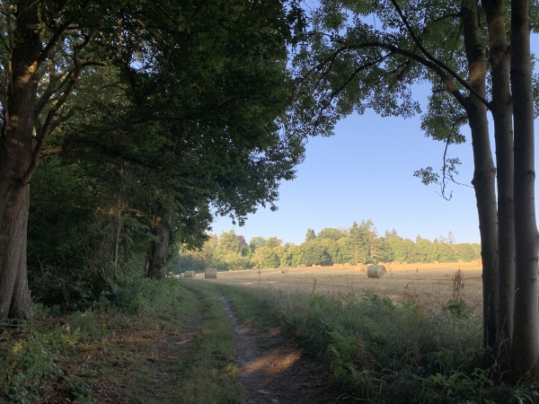 Nous arrivons sur le plateau du Mont-Perreux, et restons sur le chemin en lisière de forêt. Notre appli GPS nous montre que dans quelques mètres nous passererons de la forêt communale de Fontaine-sous-Préaux à celle de St-Martin-du-Vivier.