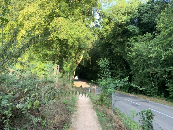 La commune de St-Martin-du-Vivier a aménagé de nombreux chemins piétonniers, ici le long de la D443.