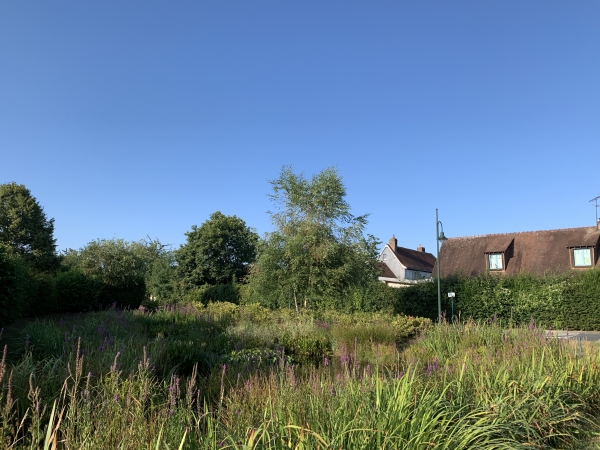 St-Martin-du-Vivier, mare de la Sente-aux-Boeufs.