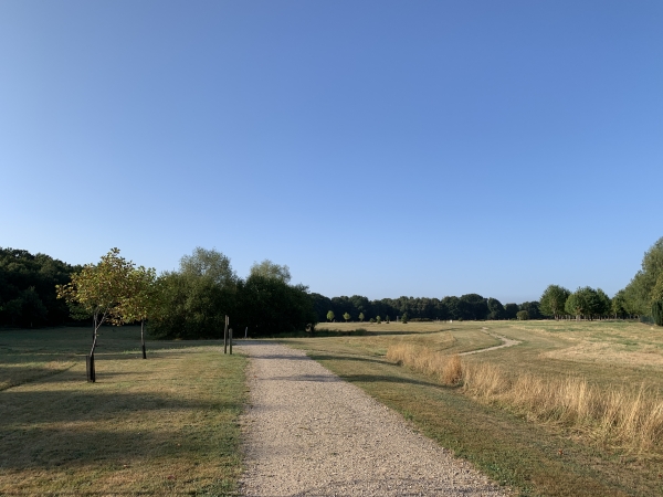 Nous suivons le parcours sportif aménagé à St-Martin-du-Vivier, dans un parc en lisière de forêt.