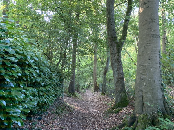 Nous descendons vers Darnetal par le vallon du Mont-Pilon. Difficile de croire que nous sommes dans l'agglomération rouennaise, entre Bihorel et Darnetal !