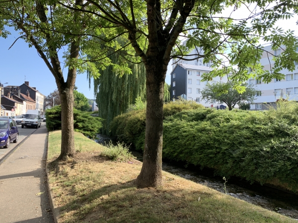 Nous longeons le Robec sur quelques dizaines de mètres, et allons passer devant l'ancien moulin à foulon et l'ancienne filature de laine François Durécu au 115 rue Pasteur.