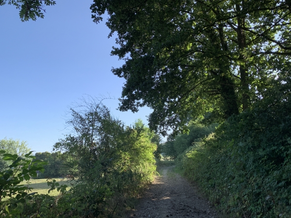Nous sortons de Darnetal par le chemin du Mont-aux-Âniers. Ce long chemin en ligne droite va nous conduire directement à Roncherolles-sur-le-Vivier.