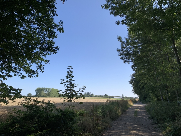 Nous sommes toujours sur le chemin du Mont-aux-Âniers, on distingue les premières constructions de Roncherolles-sur-le-Vivier.