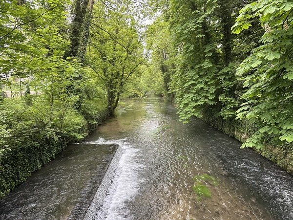 Le Cailly, vu de la passerelle du parc municipal du Houlme.