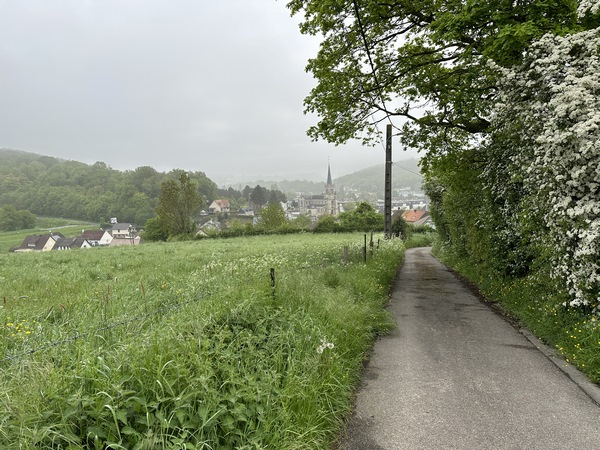 Nous traversons le Houlme, et montons la petite rue du Chemin de l'Etrille. Regard arrière vers la vallée du Cailly.
