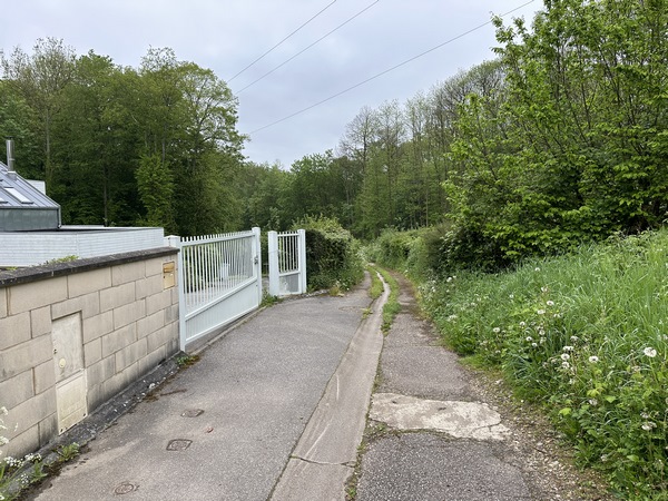 Nous avons tourné sur le Chemin de la Carrière, et continuons dans le bois au Fond Roger.
