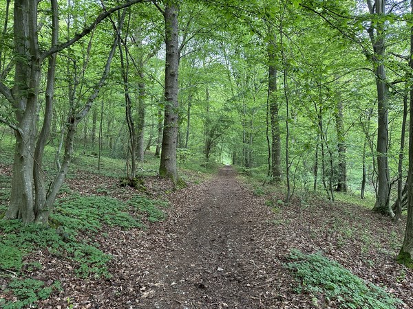 L'entrée du chemin est très discrète, mais c'est un large et agréable chemin, bien connu des VTTistes.