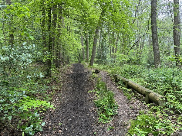 Nous sommes dans le bois de la Côte de Happetout. C'est un ancien parcours sportif de Notre-Dame-des-Champs. On peut encore voir quelques reliques du parcours, comme la poutre à droite.