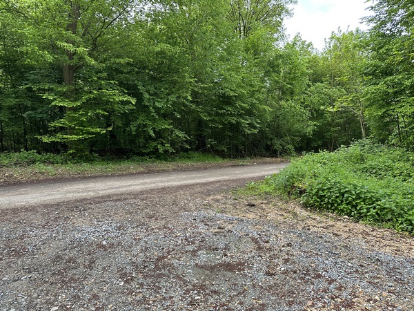 Nous quittons notre chemin pour traverser cette petite route et continuer sur le chemin d'en face.