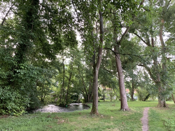 Le chemin est arboré, il longe le Cailly, rien à voir avec la triste allée Georges Sand du Houlme !