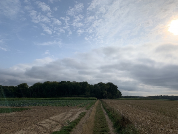 Nous suivons le chemin qui relie la Ferme des Hauts à la Ferme des Boisettes, puis nous descendons le Mont Cauvel par le bois de l'Abbaye en direction de ND-de-Bondeville.