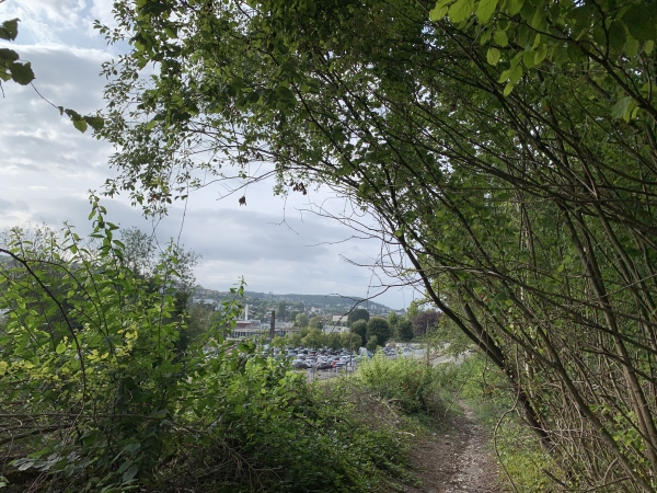 Nous sortons du bois à ND-de-Bondeville à proximité de l'usine pharmaceutique Aspen, gros employeur de la vallée du Cailly. Nous allons contourner l'usine pour retrouver la Promenade des Moulins à Papiers.