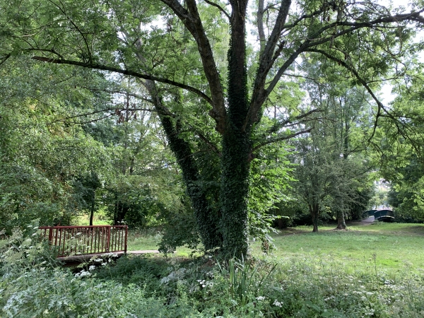 Promenade des Moulins à Papiers, la première passerelle traverse le cours principal du Cailly, la deuxième, au fond, traverse le canal du moulin de la Corderie Vallois.