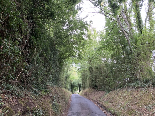 Nous montons le coteau nord de la Calonne par le chemin du Clos Pépin.