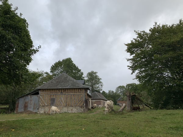 La Passaventière au bord du chemin du chemin de la Petitière.