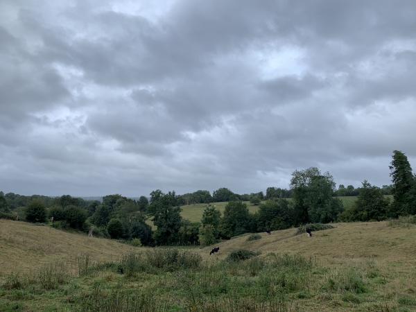 Nous sommes sur le chemin des Pieux, il domine le vallon aux sources et fontaines qui alimentent la Calonne.