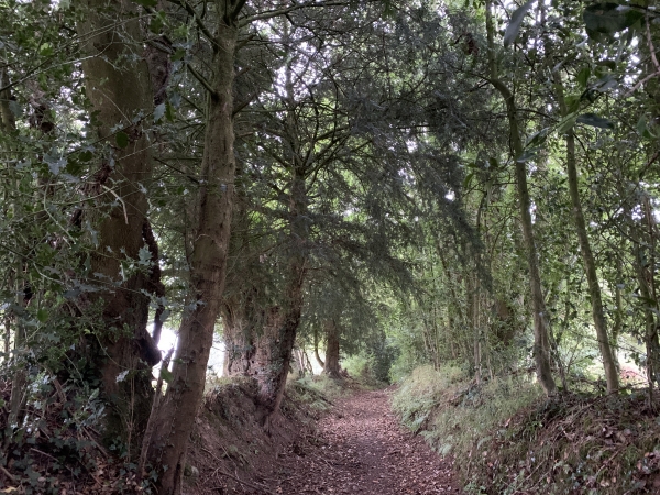 Chemin des Bosquiers.