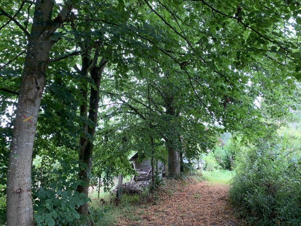 Chemin des Bosquiers.