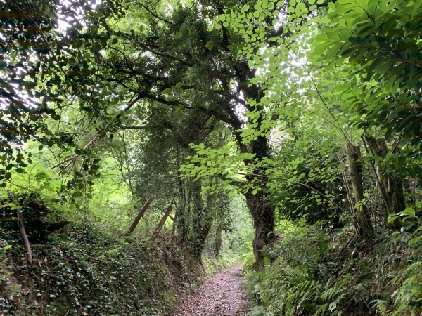 Nous montons le chemin des Champs Roberts en direction des Monts Chevalliers.