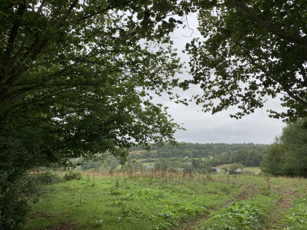 Chemin du Bois Louvet. Nous descendons vers le fond de la vallée. Nous allons devoir suivre la D534 sur quelques dizaines de mètres : le petit chemin que l'on voit sur la carte en direction de la Papeterie (vestige de l'ancienne route de Cormeille) n'est pas praticable.