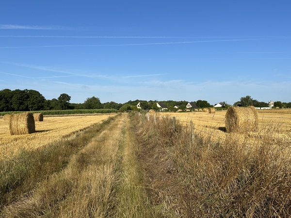 Nous longeons le village de Canappeville, notre chemin va bientôt tourner vers le nord-ouest.