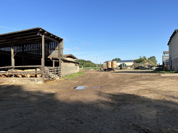 Nous sommes sur le chemin des Bruyères, il traverse ici la cour d'une ferme mais pas d'inquiétude, c'est un chemin balisé. Nous avons rejoint les balises jaunes et bleues du Chemin de Compostelle, que nous allons suivre jusqu'au domaine des Landes.