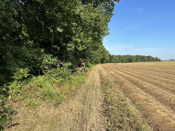 Le chemin n'est pas sur les cartes, mais il est bien là, et balisé de jaune et bleu.