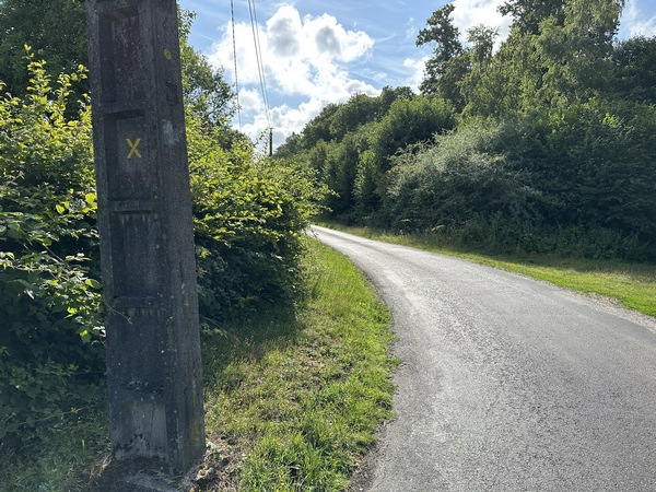 En traversant la D113, nous voyons cette croix jaune, mais continuons quand même sur la petite route des Landes. Nous ne voulons pas descendre la D113 vers Feuguerolles !