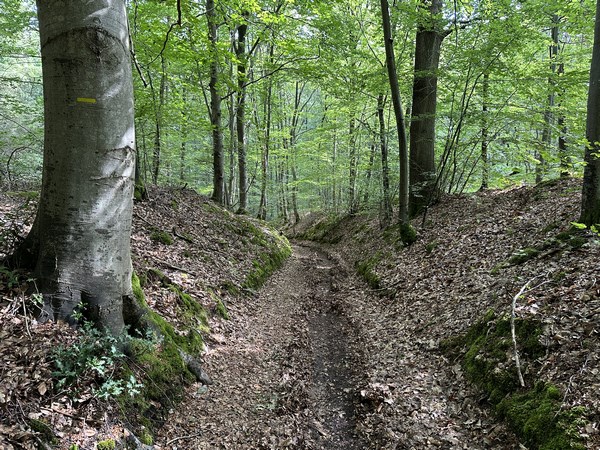 Nous descendons vers Hondouville par la Vallée Rollet.