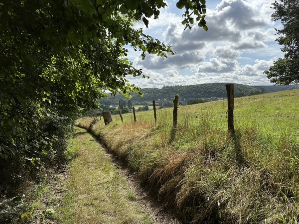 Nous sortons du bois au-dessus de Hondouville. Nous n'allons pas traverser le village, mais suivre un chemin qui le surplombe.