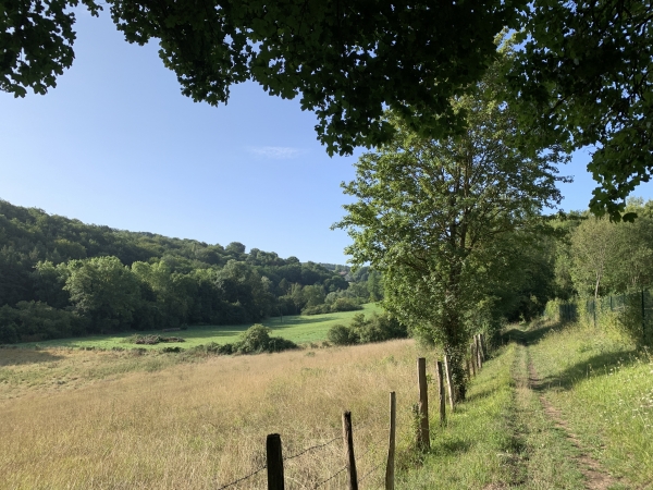 Chemin de la Petite Vallée, regard arrière sur le chemin et la vallée du ruisseau St-Ouen.