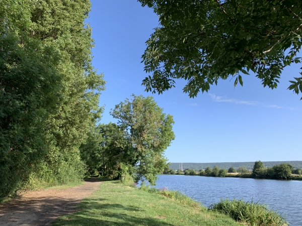 Au Goulet nous rejoignons le chemin de halage, en face de l'île aux boeufs. Nous allons suivre le chemin de halage jusqu'au barrage de Port-Mort.