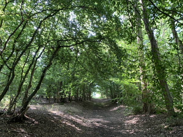 Nous sommes sur le dernier chemin avant le bourg de St-Pierre-la-Garenne, mais nous devrons faire un court détour pour passer sous la voie de chemin de fer Paris-Le Havre.