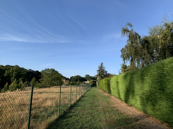 Sentier d'Houdeville. Habituellement nous prolongeons ce sentier jusqu'à la route forestière de la Mare Terreuse, mais cette fois-ci nous avons été bloqués par le maïs qui recouvre le chemin. Contrairement à l'agriculteur qui n'a pas respecté le chemin, nous avons respecté le maïs et contourné le champ par la D351. Nous l'avons un peu regretté d'ailleurs, la D351 est étroite, et dangereuse pour les piétons dans le virage.