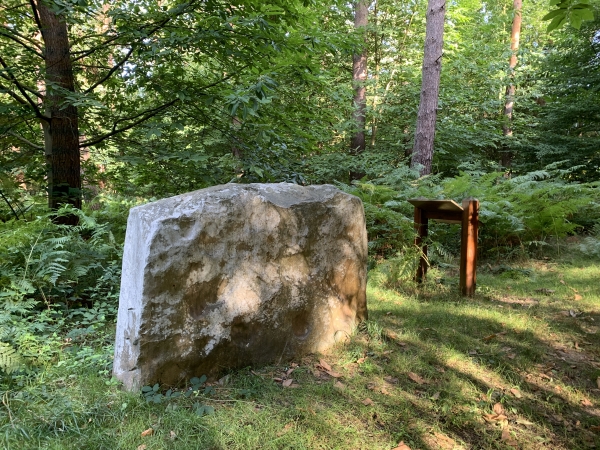 Forêt domaniale de Roumare, Allée Verte, la Pierre Mégalithique. D'origine mystérieuse, mais d'époque néolithique, elle s'élève à proximité de l'ancienne route qui reliait Rouen à Duclair. A son côté, un chêne monumental était utilisé comme gibet à loups. Les loups ont longtemps été nombreux en forêt de Roumare comme l'atteste le nom de Canteleu (Chante Loup).