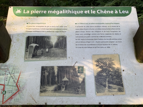 Forêt domaniale de Roumare, Allée Verte, la Pierre Mégalithique. D'origine mystérieuse, mais d'époque néolithique, elle s'élève à proximité de l'ancienne route qui reliait Rouen à Duclair. A son côté, un chêne monumental était utilisé comme gibet à loups. Les loups ont longtemps été nombreux en forêt de Roumare comme l'atteste le nom de Canteleu (Chante Loup).
